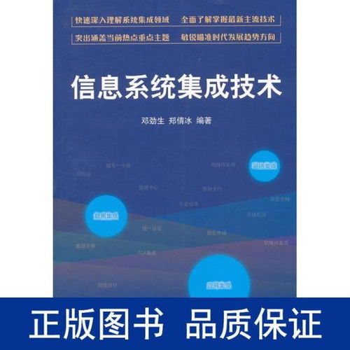信息系統集成技術與服務 構建現代化數字生態的核心要素